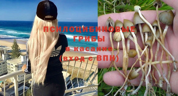 а пвп мука Арсеньев