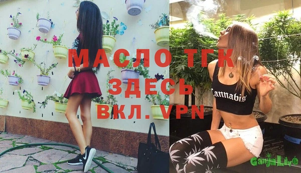 хмурый Анива