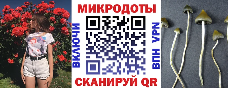 Галлюциногенные грибы Cubensis Бежецк